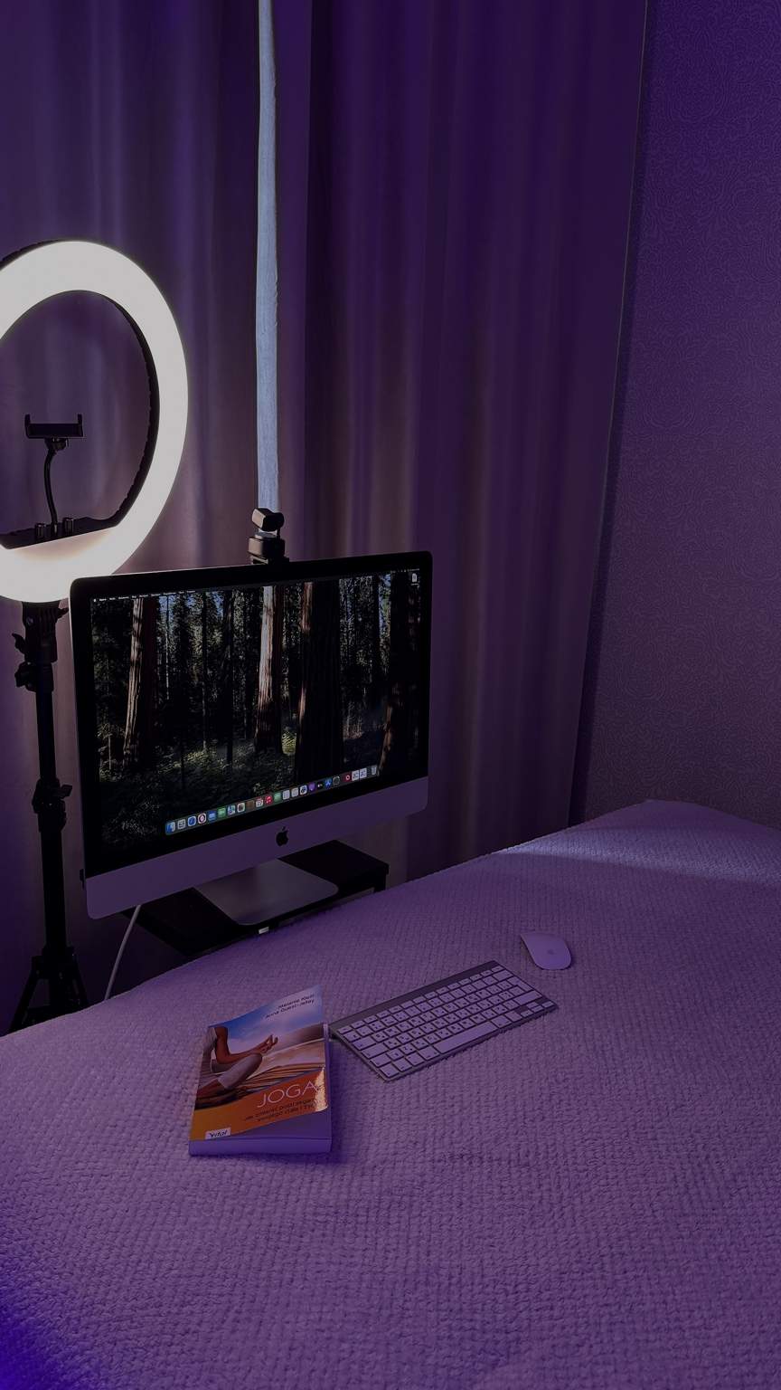 вебкам студия для девушек